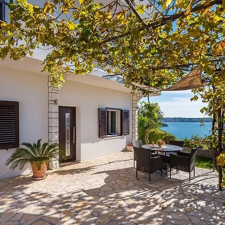 Panorama 特罗吉尔