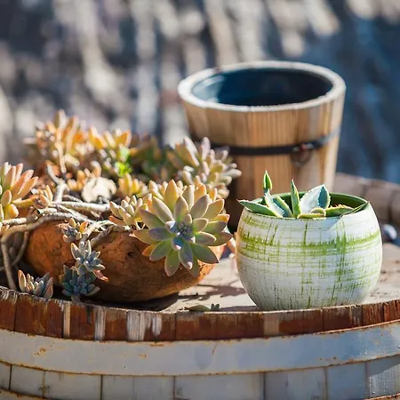 Panorama 特罗吉尔