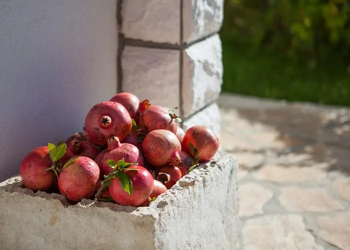 Panorama Τρογκίρ